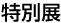 ���ʓW
