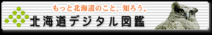 �k�C���f�W�^���}��