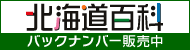 �k�C���S�ȃo�b�N�i���o�[�̔���