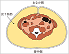 牺b