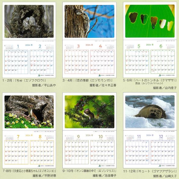 北海道新聞野生生物基金カレンダー